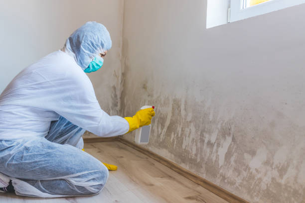 Commercial Mold Remediation assessment for commercial property in Bloomington